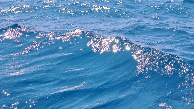 Crna Gora, Boka Kotorska